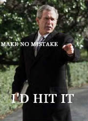 hitbush.jpg